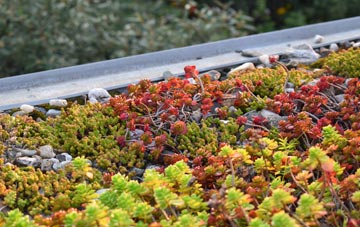 the cost of Tre Boeth green roof installation