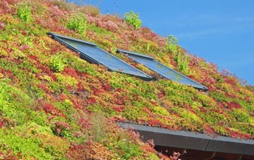 Tre Boeth living roof systems