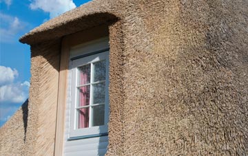 Tre Boeth thatch roof disadvantages
